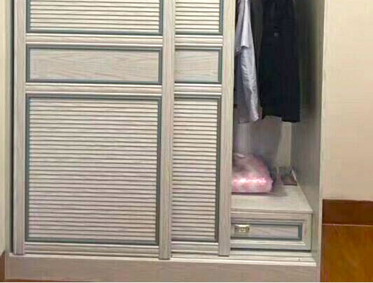 鋁師傅全鋁家具百葉款兩扇移門衣柜裝修效果圖 鋁師傅全鋁家具百葉款兩扇移門衣柜裝修效果圖