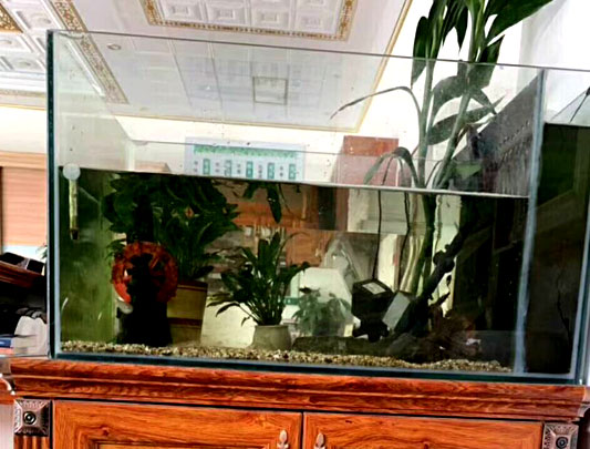 鋁師傅全鋁家具魚缸裝修效果圖