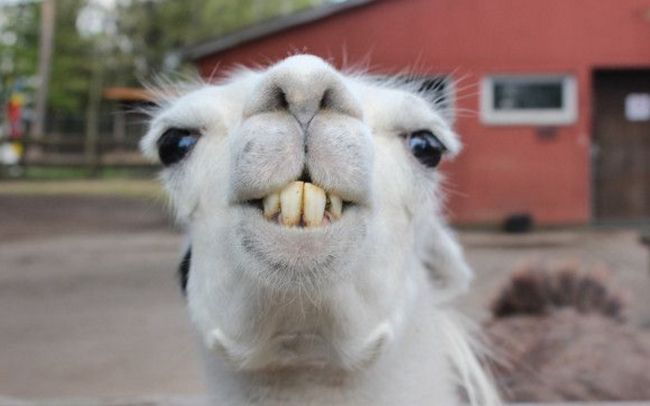 有趣的人怎么打造自己的家？鋁師傅為您揭曉