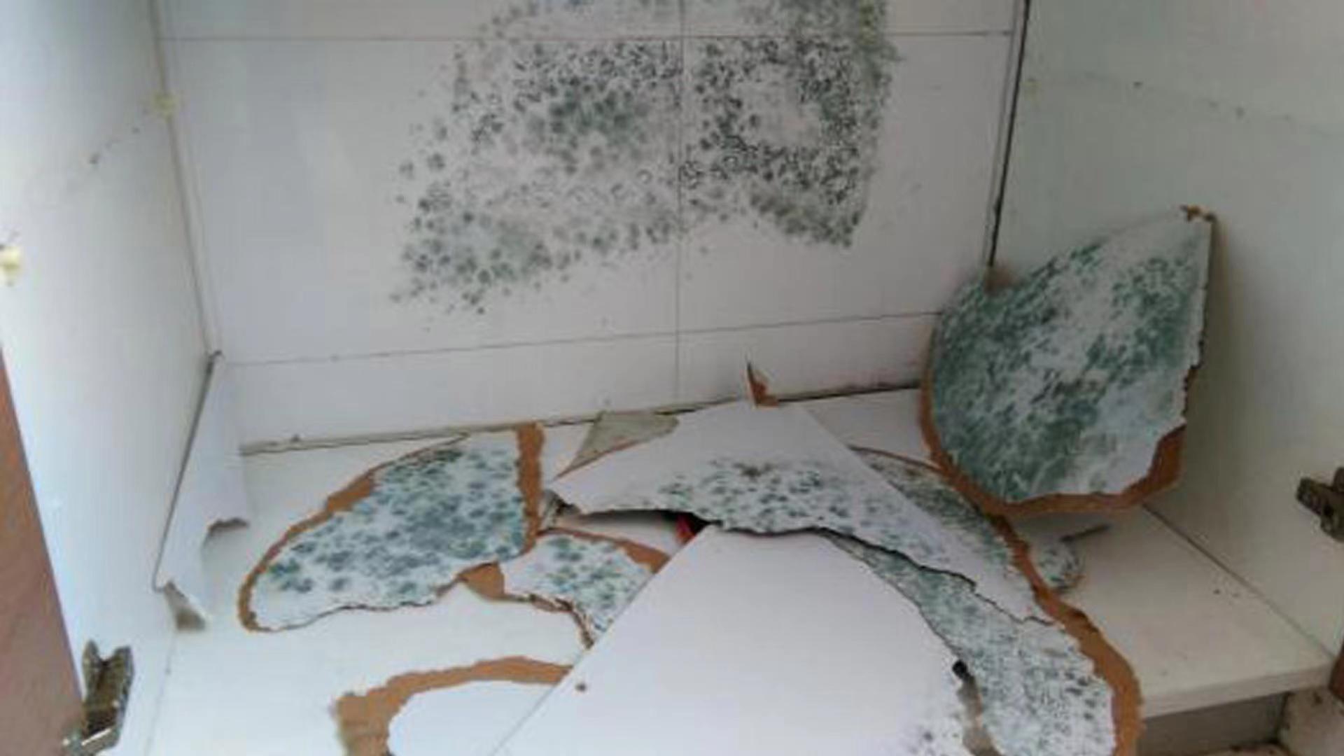 1660726767124466.jpg 1660726767124466.jpg